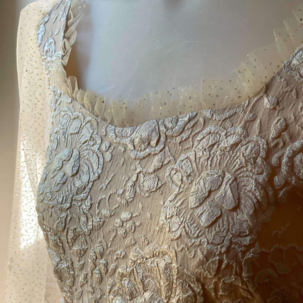 Beautiful Princess style blush color gown with sheer sleeves - Picture 3 of 14